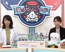 tvk猫のひたいほどワイド　９月のテーマは、「乳幼児のお口の健康　母子感染と仕上げ磨き」です！